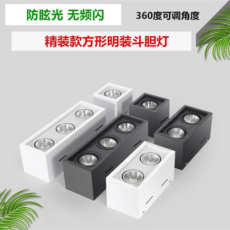 明装斗胆灯方形led双头射灯筒灯家用客厅无主灯吸顶式过道格栅灯