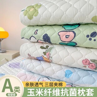 枕头套加厚家用单个48xJ74cm儿童枕芯内胆套新 A类夹棉枕套一对装