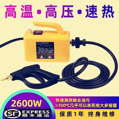 110V商用大功率蒸汽清洁机高温高压工业设备油污餐厅清洗蒸气洗车