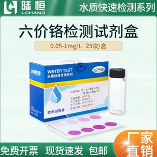 陆恒生物六价铬快速检测试剂盒铬 离子测定试纸总铬测定包