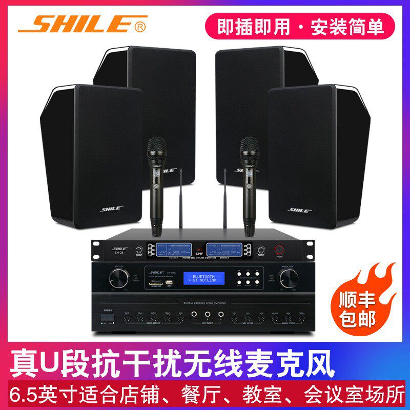 会议音响套装 狮乐K-555C/BG-6培训室店铺学校音箱功放话筒设备厂