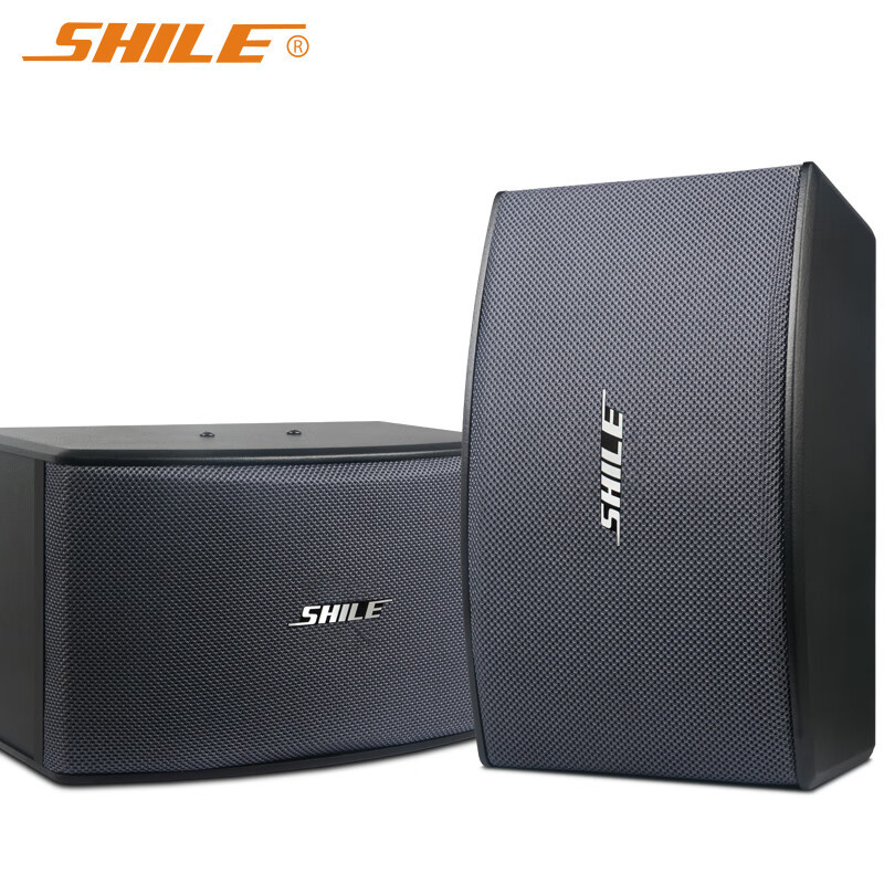狮乐BX-119专业10英寸KTV卡拉OK音箱 会议培训室背景音乐音响一对