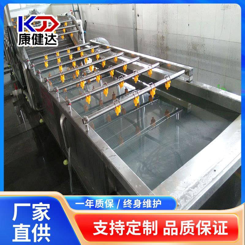 现货款山楂小西红柿清洗机喷淋气泡清洗机水果清洗设备