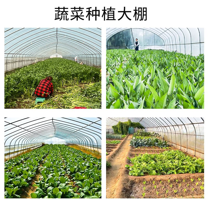 温室大棚骨架钢管养殖种植家用全套猪鸡舍钢架连栋配件简易蔬菜棚