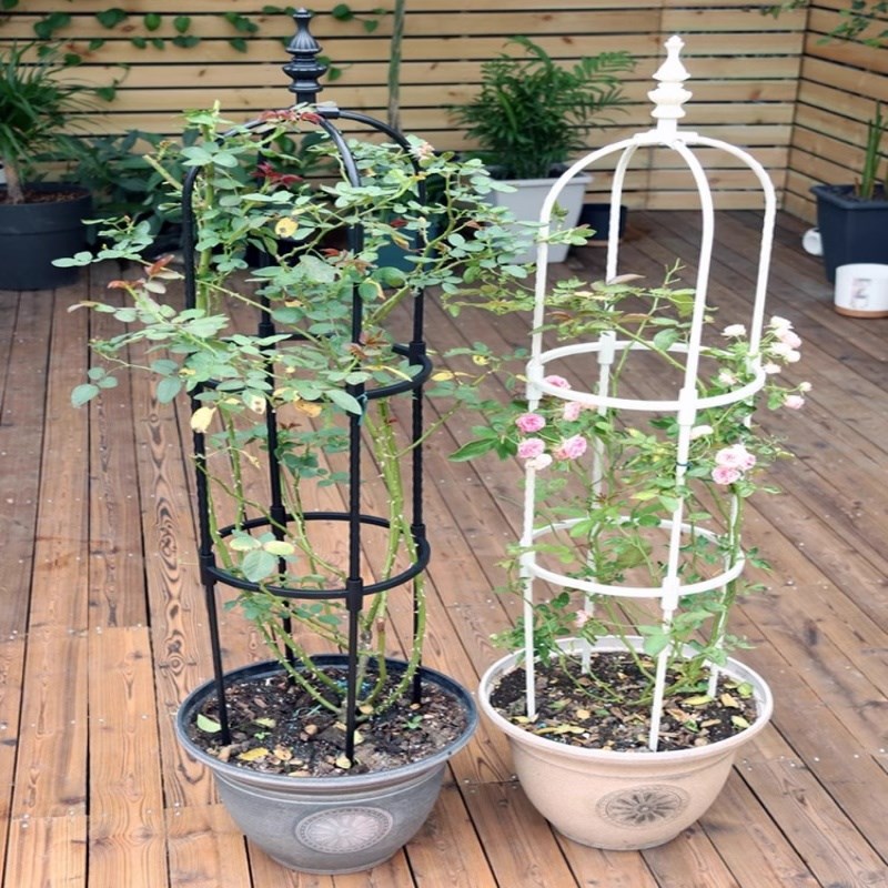 园艺藤本月季绿萝爬藤架植物U型包塑钢管花支架支柱玫瑰盆栽花架