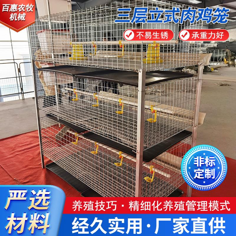 厂家肉鸡笼防锈三层立式肉鸡笼养殖养鸡设备肉鸡笼热镀锌鸡笼