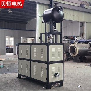 贝恒煤改电导热油加热器反应釜导热油炉捏合模温定制