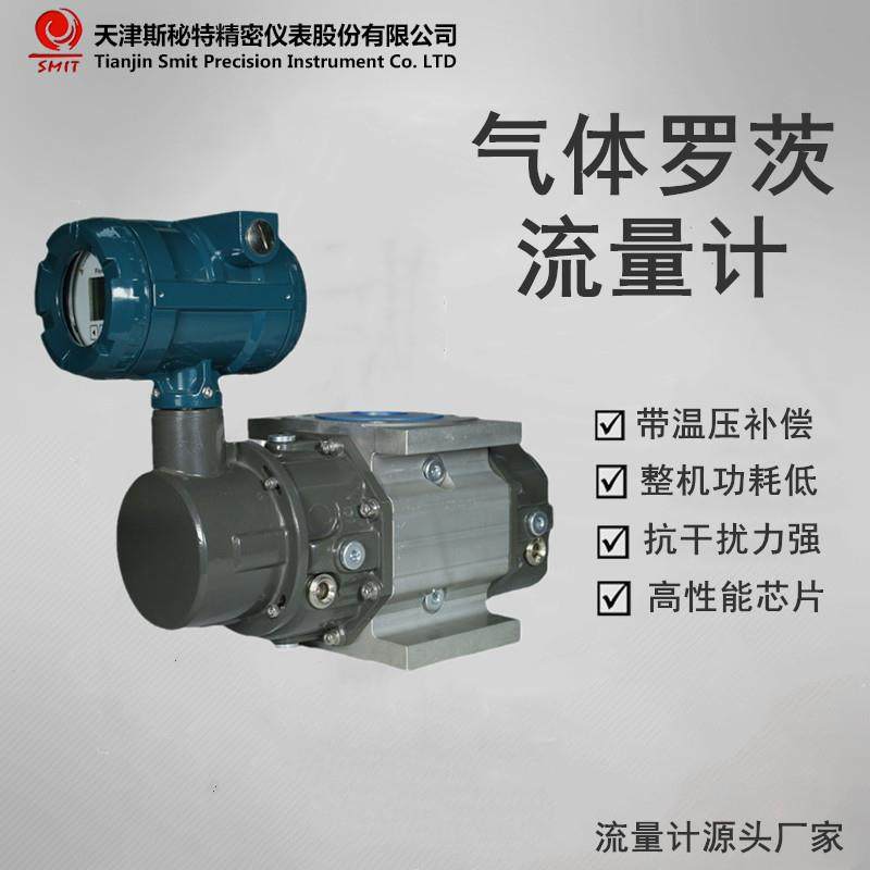 大口径气体罗茨流量计JLQ-DN150/JLQ-DN200气体腰轮流量计