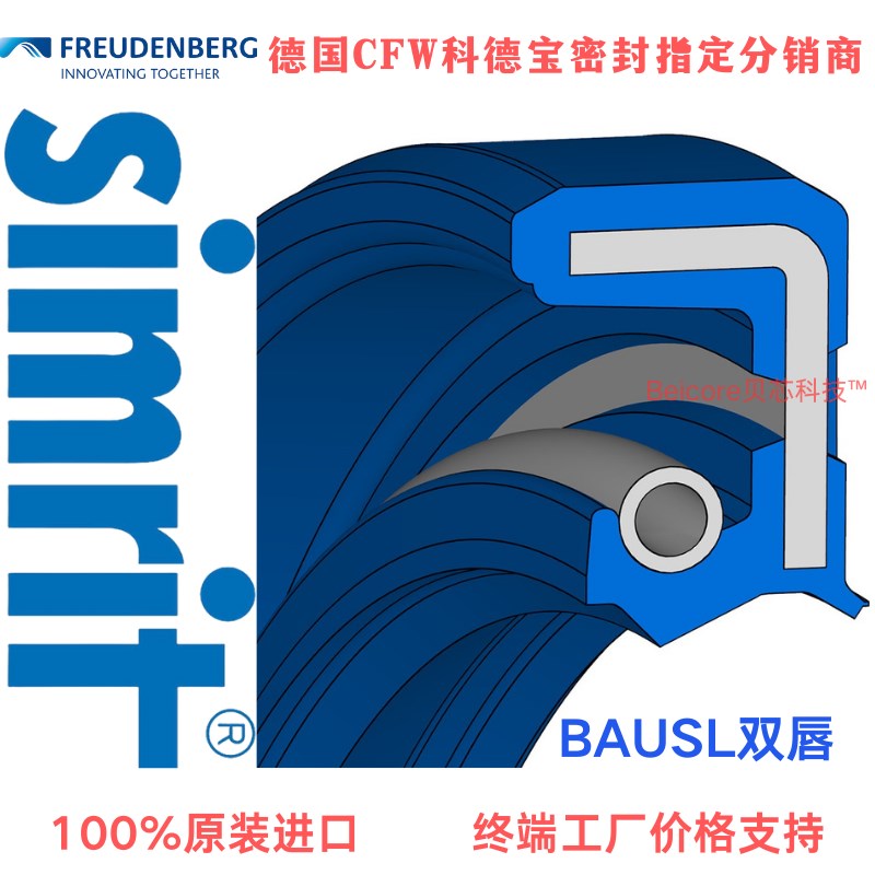 100德国CFW进口低压丁晴氟胶双唇BAUMSL骨架油封20100m尺寸大全