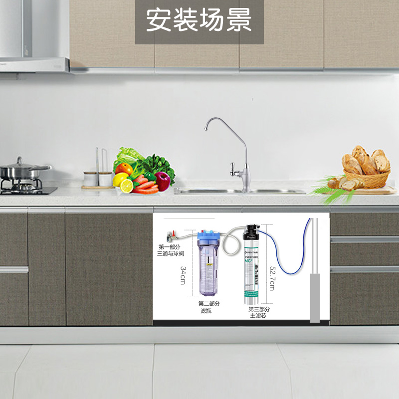 21年新款爱惠浦净水器MC2 奶茶咖啡店办公楼直饮 过滤水器 净水机