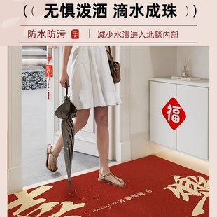 入户门地垫进门家用门垫防滑丝圈耐脏脚垫门口可裁剪红色门外地毯