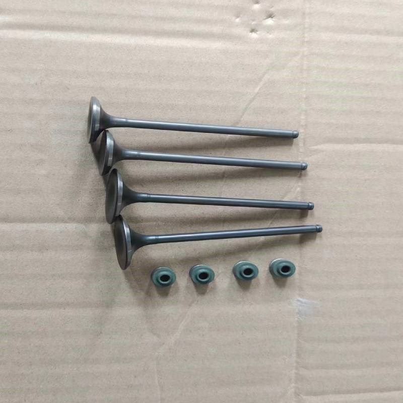 越野摩托车鑫源X2X2X银钢250六天AX1四气门发动机专用气门/油封件