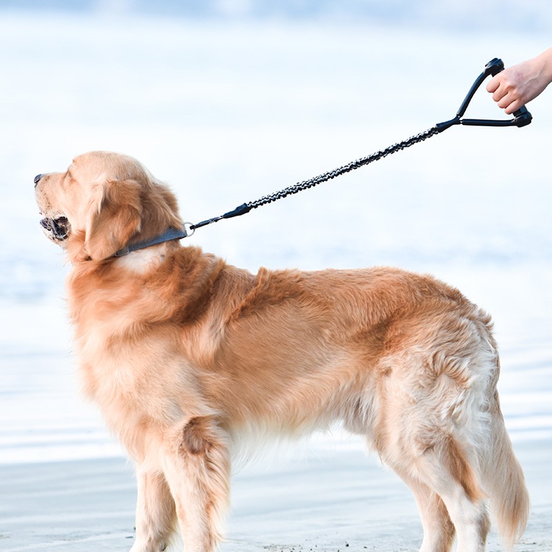 多尼斯宠物牵引绳防爆冲伸缩弹力绳牵狗神器小中大型犬狗链遛狗绳