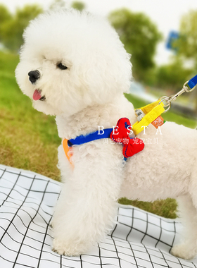 BESTA-忒可爱!宠物狗狗胸抱婴袋小型犬泰迪比熊雪纳瑞牵引绳子遛