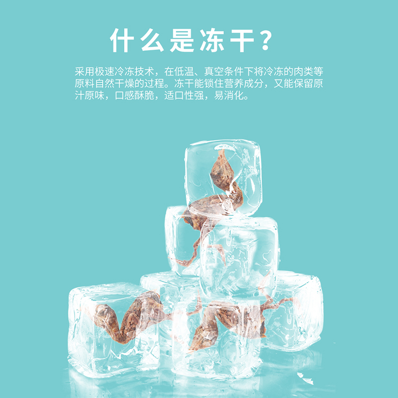 冻干鹌鹑猫咪零食宠物狗猫吃小鱼干猫粮发腮磨牙蛋黄营养增肥桶装