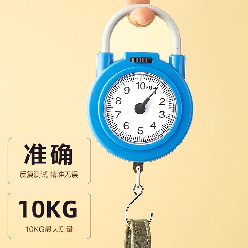 弹簧秤高精度手提称便捷式家用随身带小勾称小型手提多功能电子称