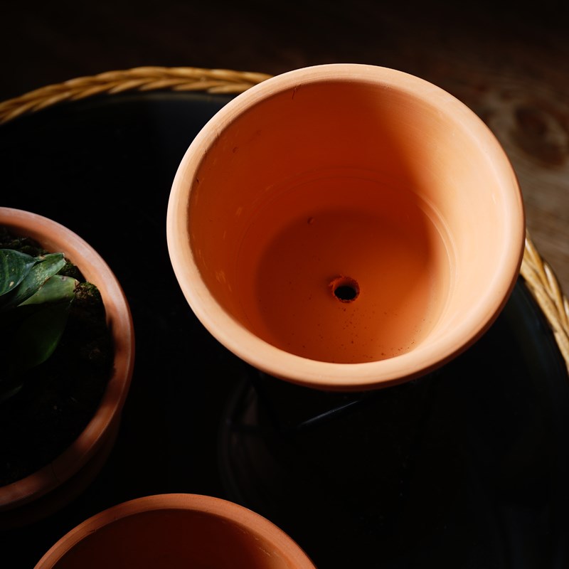 吴氏陶业细质红陶花盆多肉植物泥瓦盆树叶浮雕盆景天科专属盆瓦盆