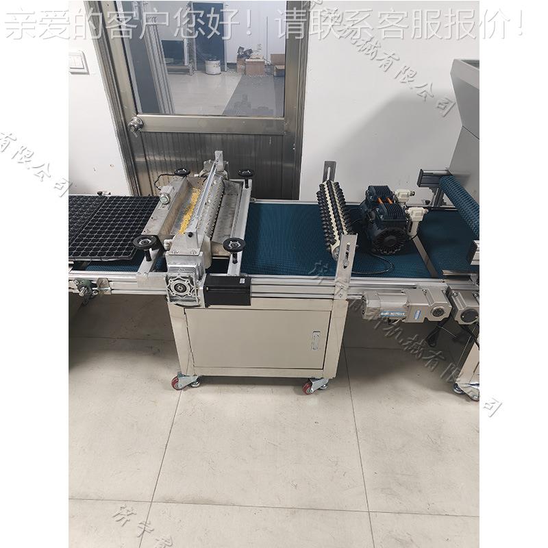 新疆常供辣椒种子穴播点种机全自动滚筒式穴盘播种机蔬菜种点籽机