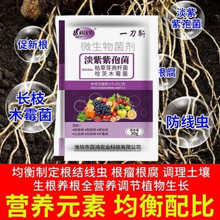 土壤杀菌剂菜地大棚抗重茬防治根肿烂根死苗土传病害专用消毒药液