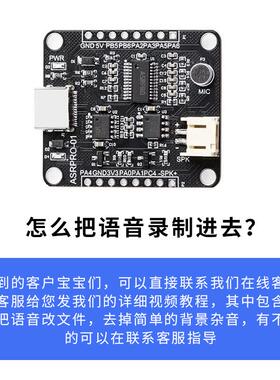 棉花娃娃对话语音芯片asrpro语音识别模块带喇叭灯带数据线4M闪存