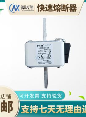 巴斯曼170M8550 170M8547 170M6663 170M6267 170M6814D熔断器