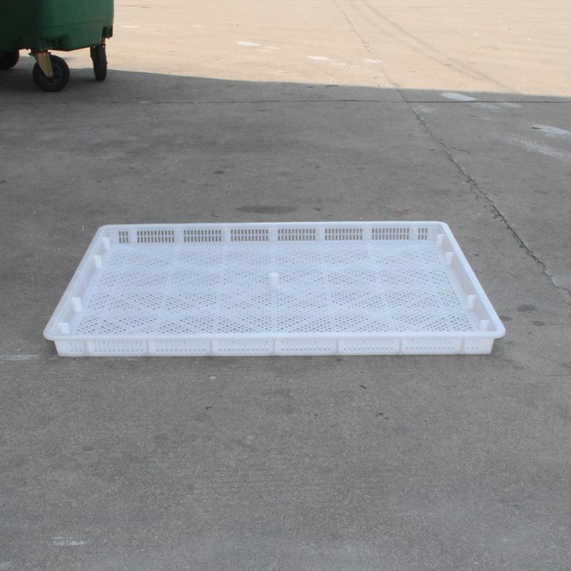 揭阳厂家直销1008塑料单冻器白色晾晒盘玫瑰花金银花菊花烘干盘