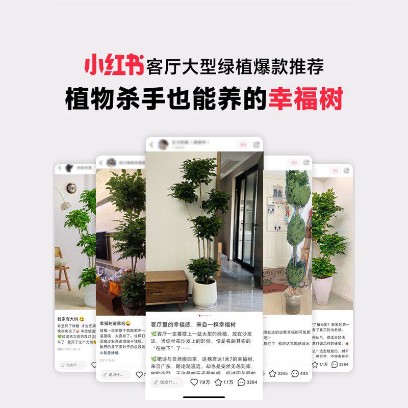 大幸福树盆栽老桩室内旺宅客厅大型绿宝树发财树真花植物盆景