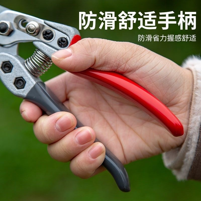 剪枝果树修枝剪刀园艺园林修剪树枝省力剪花椒树家用粗枝强力剪子