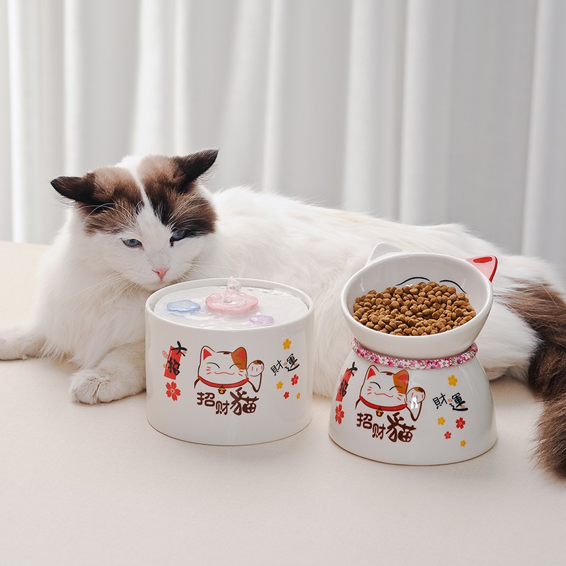 言飞 猫咪食物碗招财猫陶瓷碗狗狗喝水盆陶瓷宠物用品