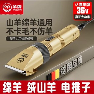 羊牌36V大功率电推剪剃羊毛推子电动羊毛剪绒山羊狗狗宠物剃毛器