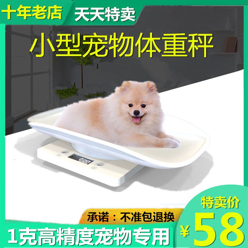 宠物称重器小动物精准宠物电子秤体重秤小型电子称宠物店