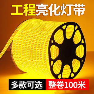 led工b程亮化灯带户外防水灯条220v超亮家用客厅三色变光室外暖光