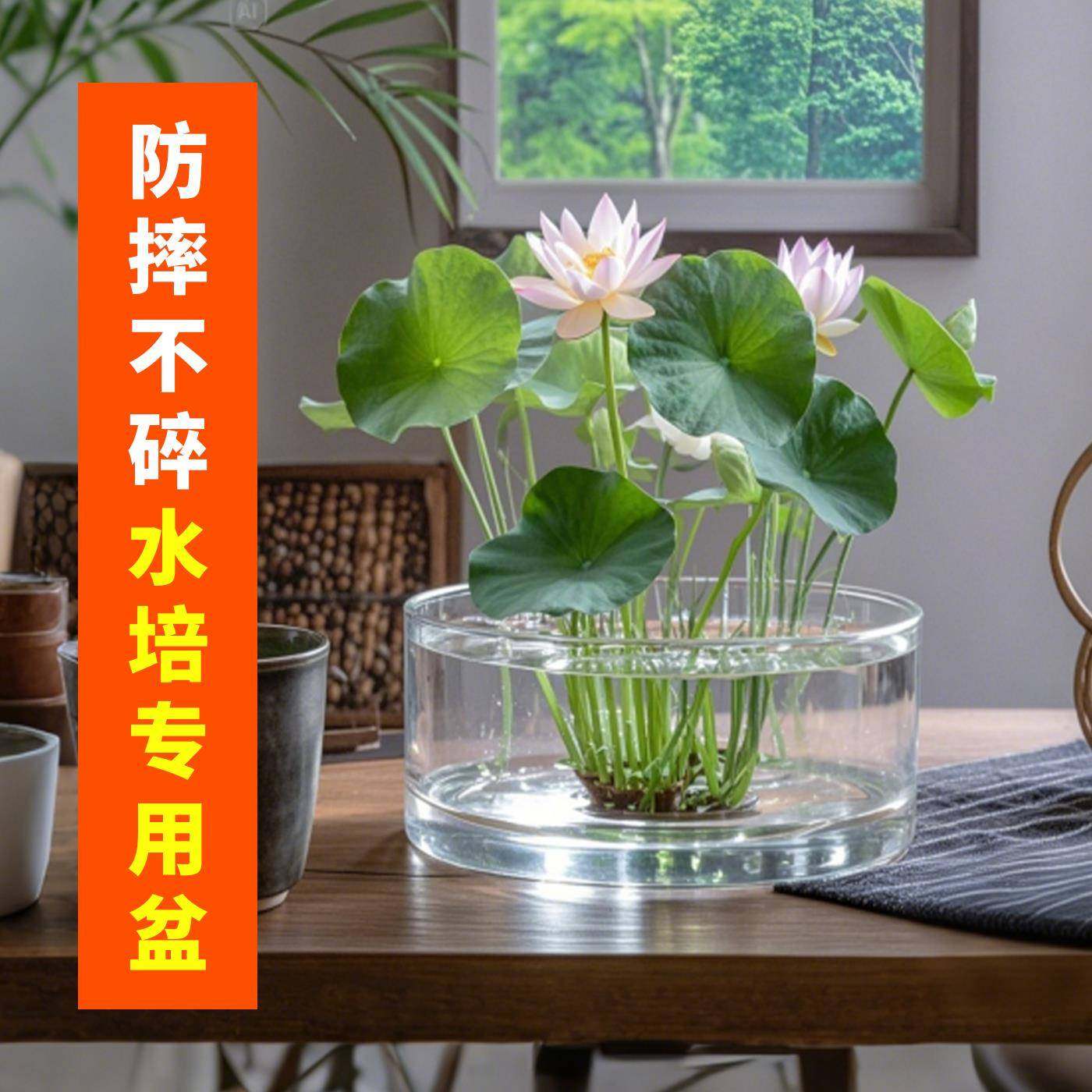 无孔水培碗莲睡莲荷花专用盆缸水养植物器皿大口径塑料仿玻璃花盆