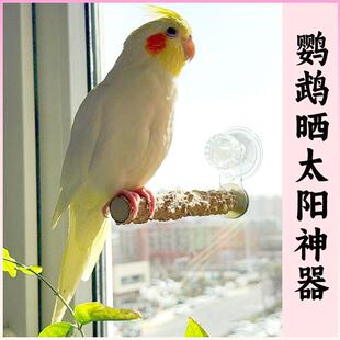 鹦鹉花椒木吸盘站架子空中站杠站棍磨爪玄凤虎皮专用鸟用玻璃站台