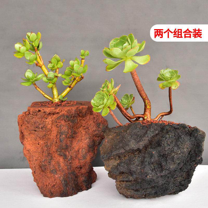 绿腾冲天FPC然山火菖石花盆多肉石斛蒲文竹植花卉专用花盆大号特