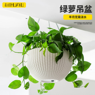 绿萝吊盆吊篮花盆吊兰专用盆悬挂式 吊挂阳台长藤绿箩自动吸水盆