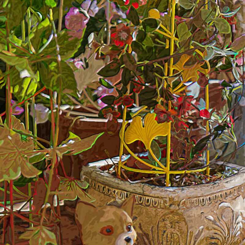 户外欧式铁艺天使蝴蝶爬藤架三件套植物攀爬架月季铁线莲牵引花架