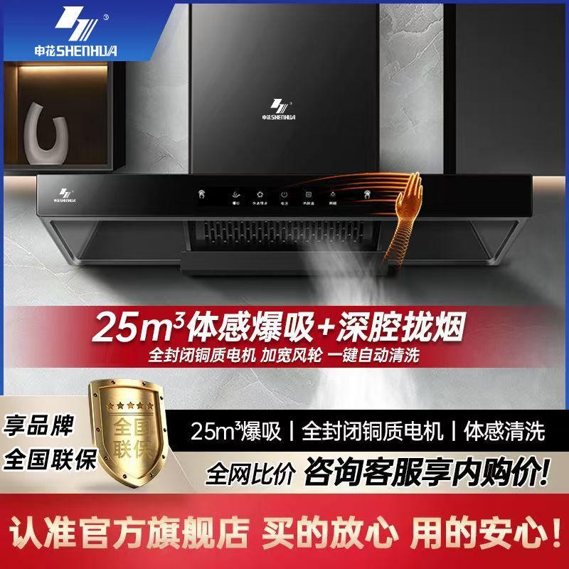 家用油烟机大吸力欧式