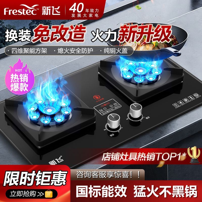 新飞煤气灶双灶头家用大