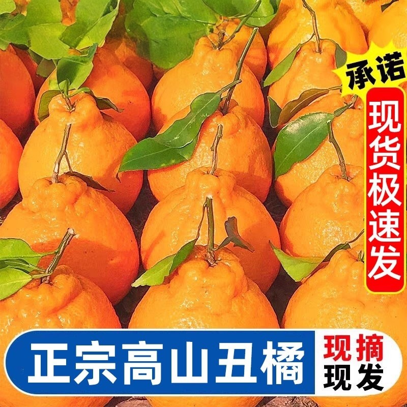 【下单立减30】丑橘不是耙耙柑橘子新鲜蜜橘桔子时令水果丑桔,水产肉类/新鲜蔬果/熟食,桔子,淘宝优惠券,粉丝福利购,淘宝优惠卷