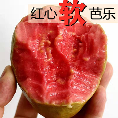 【下单立减30】软心红心番石榴新鲜水果红心软芭乐现摘软糯当季