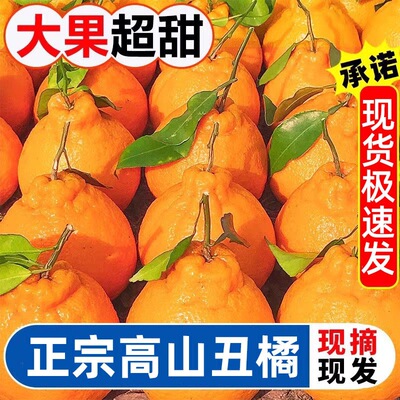 【下单立减30】丑橘不是耙耙柑甜橘子新鲜蜜橘桔子时令水果丑桔