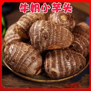 云南新鲜牛奶小芋头整箱农家自种毛芋头牛奶芋头 下单立减30