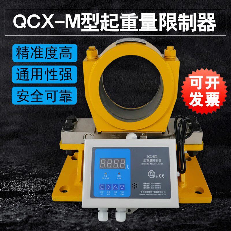 起重量限制器常州常欣QCX-MQCX-2B型仪表显示屏双梁起重机MB3B