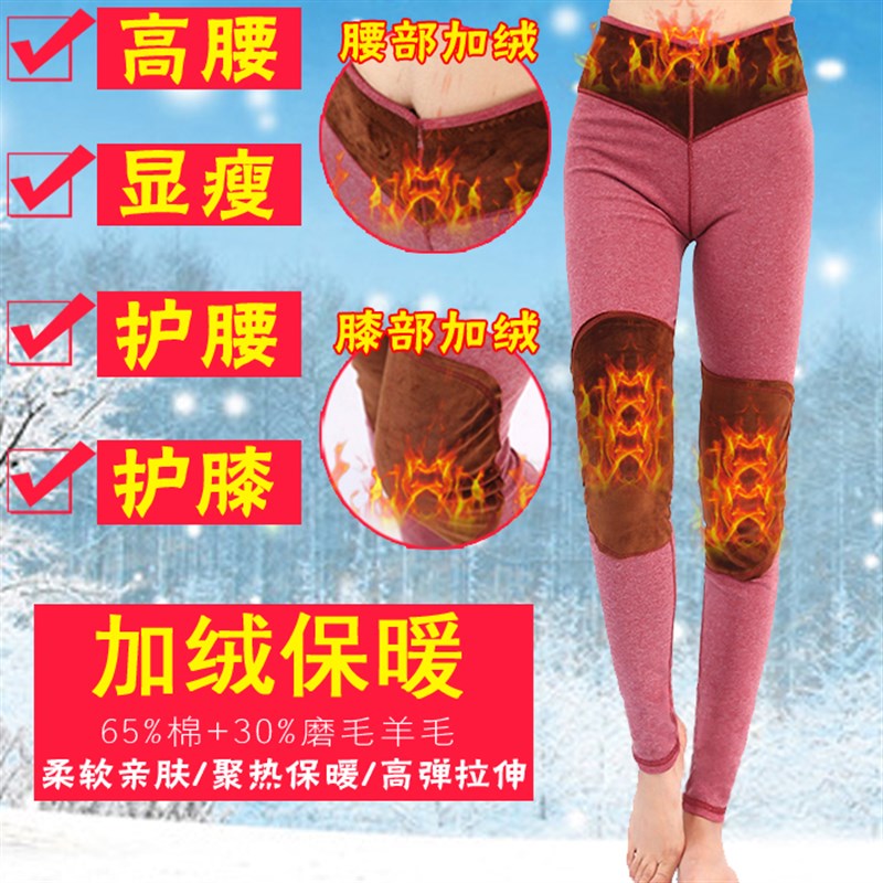 秋裤女护膝护腰加绒紧身高腰保暖裤单件纯棉线裤加厚大码棉毛衬裤