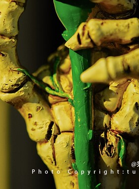 我将永远爱你至死不渝骷髅手玫瑰氛围灯万圣诞节礼物