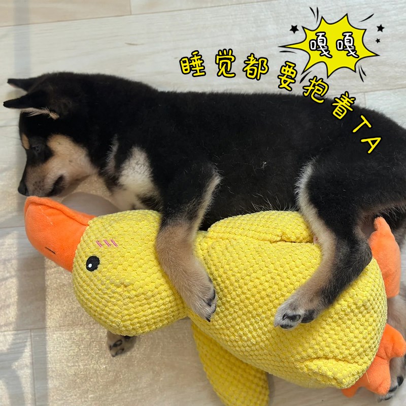 狗狗玩具毛绒黄鸭自嗨解闷神器发声陪伴磨牙耐咬小狗大狗宠物用品