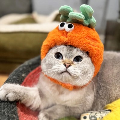 KKV果蔬系列宠物头套猫咪头饰可爱拍照毛绒装扮帽子头套