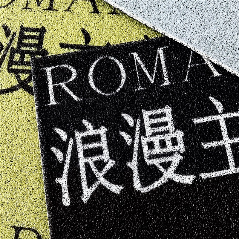 浪漫主义或野蛮 多色丝圈地垫地毯入户进门 公社计划经济部