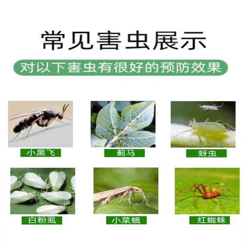 菜地防虫驱菜虫蔬菜家庭园艺防虫药片盆栽花卉绿植多肉除虫防病害